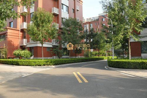枣庄市中区最新爆料,揭秘城区发展新动向与民生改善亮点