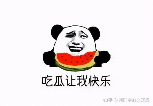 吃瓜宣传文案短句搞笑,吃瓜文案，笑料横生，趣味盎然