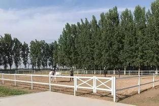 郑州明星马术俱乐部