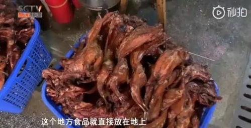 网红老兔,揭秘网络红人的魅力与影响力