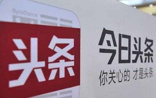 头条小白小组,揭秘新媒体运营的入门秘诀