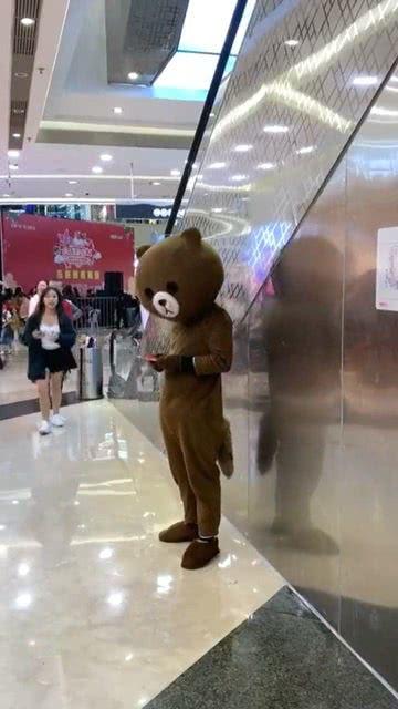 网红熊保护家人,温情守护背后的感人故事