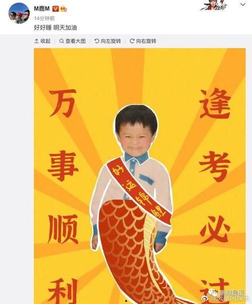 明星人设翻车事故原文,翻车事故背后的真相与反思